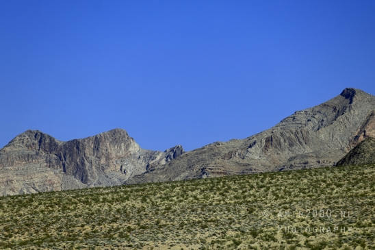 Nevada_USA_Road_Trip_Landscape_Western_Nature_Photography_037_Canon_EOS_R5_Mark_II.JPG