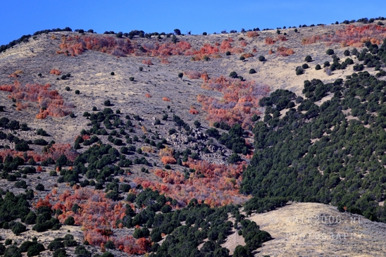 SLC_Utah_to_Page_Arizona_Navajo_Reservation_USA_Road_Trip_Landscape_Western_Nature_Photography_037_Canon_EOS_R5_Mark_II.JPG