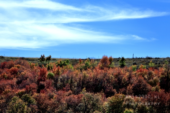 SLC_Utah_to_Page_Arizona_Navajo_Reservation_USA_Road_Trip_Landscape_Western_Nature_Photography_038_Canon_EOS_R5_Mark_II.JPG