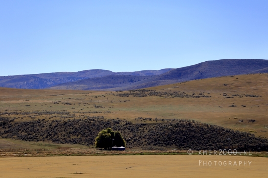 SLC_Utah_to_Page_Arizona_Navajo_Reservation_USA_Road_Trip_Landscape_Western_Nature_Photography_044_Canon_EOS_R5_Mark_II.JPG
