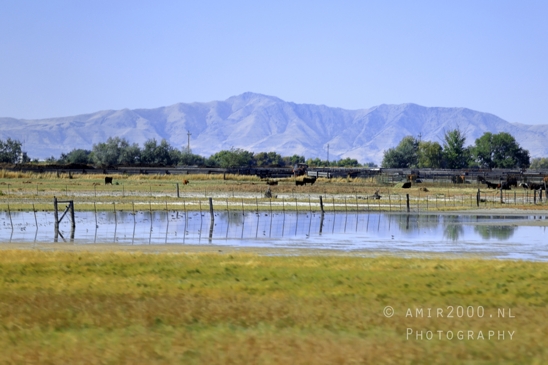 SLC_Utah_to_Page_Arizona_Navajo_Reservation_USA_Road_Trip_Landscape_Western_Nature_Photography_065_Canon_EOS_R5_Mark_II.JPG