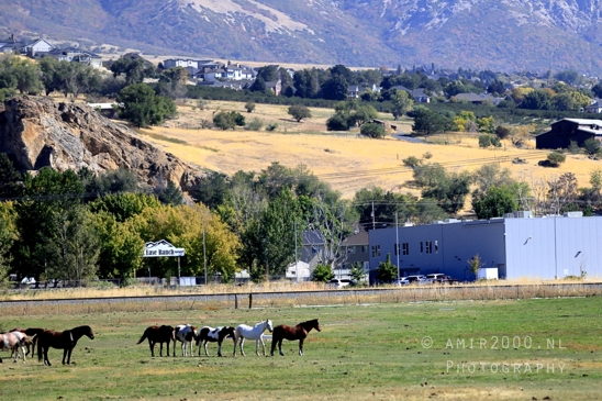 SLC_Utah_to_Page_Arizona_Navajo_Reservation_USA_Road_Trip_Landscape_Western_Nature_Photography_069_Canon_EOS_R5_Mark_II.JPG