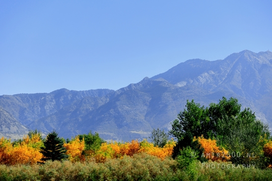 SLC_Utah_to_Page_Arizona_Navajo_Reservation_USA_Road_Trip_Landscape_Western_Nature_Photography_070_Canon_EOS_R5_Mark_II.JPG