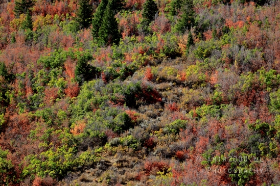 SLC_Utah_to_Page_Arizona_Navajo_Reservation_USA_Road_Trip_Landscape_Western_Nature_Photography_244_Canon_EOS_R5_Mark_II.JPG