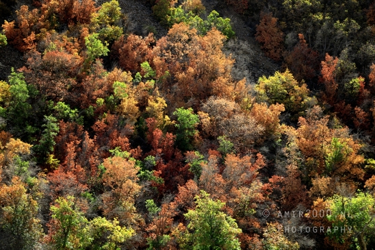 SLC_Utah_to_Page_Arizona_Navajo_Reservation_USA_Road_Trip_Landscape_Western_Nature_Photography_247_Canon_EOS_R5_Mark_II.JPG