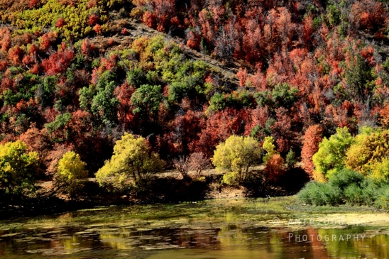 SLC_Utah_to_Page_Arizona_Navajo_Reservation_USA_Road_Trip_Landscape_Western_Nature_Photography_251_Canon_EOS_R5_Mark_II.JPG