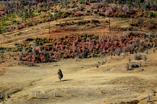 SLC_Utah_to_Page_Arizona_Navajo_Reservation_USA_Road_Trip_Landscape_Western_Nature_Photography_255_Canon_EOS_R5_Mark_II.JPG