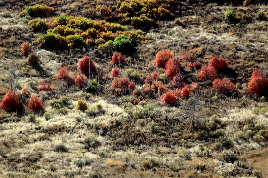 SLC_Utah_to_Page_Arizona_Navajo_Reservation_USA_Road_Trip_Landscape_Western_Nature_Photography_266_Canon_EOS_R5_Mark_II.JPG