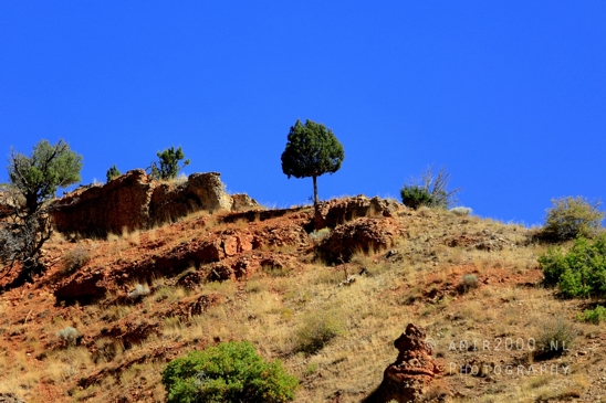 SLC_Utah_to_Page_Arizona_Navajo_Reservation_USA_Road_Trip_Landscape_Western_Nature_Photography_269_Canon_EOS_R5_Mark_II.JPG