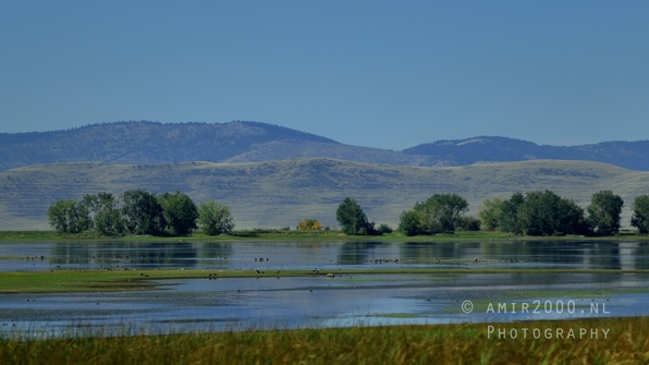Washington_Idaho_Montana_Wyoming_USA_Road_Trip_Landscape_Western_Nature_Photography_058_Canon_EOS_R5_Mark_II.JPG