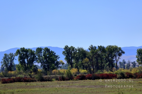 Washington_Idaho_Montana_Wyoming_USA_Road_Trip_Landscape_Western_Nature_Photography_087_Canon_EOS_R5_Mark_II.JPG