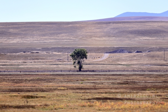 Washington_Idaho_Montana_Wyoming_USA_Road_Trip_Landscape_Western_Nature_Photography_092_Canon_EOS_R5_Mark_II.JPG