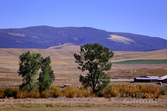 Washington_Idaho_Montana_Wyoming_USA_Road_Trip_Landscape_Western_Nature_Photography_095_Canon_EOS_R5_Mark_II.JPG