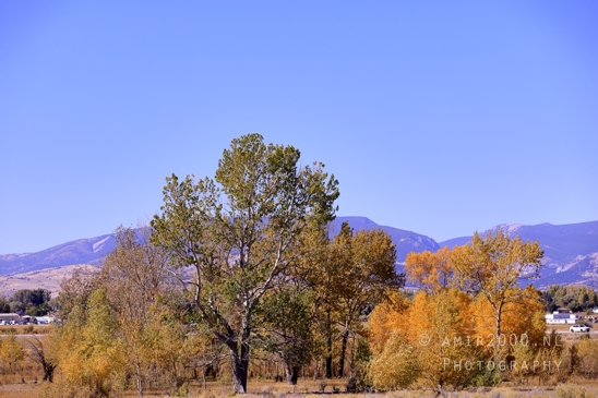 Washington_Idaho_Montana_Wyoming_USA_Road_Trip_Landscape_Western_Nature_Photography_106_Canon_EOS_R5_Mark_II.JPG