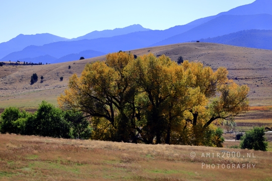 Washington_Idaho_Montana_Wyoming_USA_Road_Trip_Landscape_Western_Nature_Photography_127_Canon_EOS_R5_Mark_II.JPG