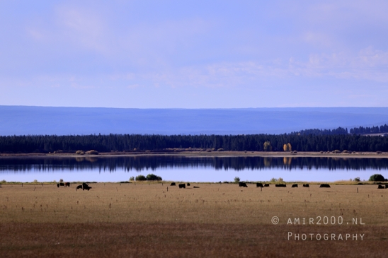 Washington_Idaho_Montana_Wyoming_USA_Road_Trip_Landscape_Western_Nature_Photography_132_Canon_EOS_R5_Mark_II.JPG