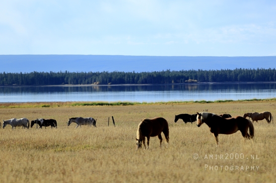 Washington_Idaho_Montana_Wyoming_USA_Road_Trip_Landscape_Western_Nature_Photography_133_Canon_EOS_R5_Mark_II.JPG