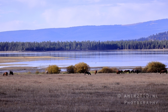 Washington_Idaho_Montana_Wyoming_USA_Road_Trip_Landscape_Western_Nature_Photography_138_Canon_EOS_R5_Mark_II.JPG