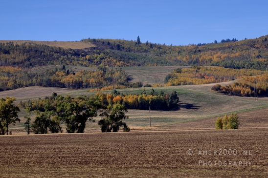 Washington_Idaho_Montana_Wyoming_USA_Road_Trip_Landscape_Western_Nature_Photography_160_Canon_EOS_R5_Mark_II.JPG