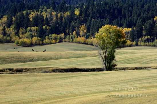 Washington_Idaho_Montana_Wyoming_USA_Road_Trip_Landscape_Western_Nature_Photography_161_Canon_EOS_R5_Mark_II.JPG