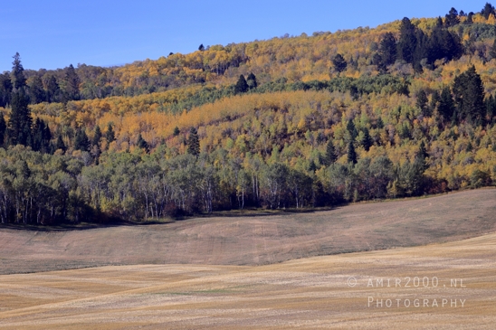 Washington_Idaho_Montana_Wyoming_USA_Road_Trip_Landscape_Western_Nature_Photography_165_Canon_EOS_R5_Mark_II.JPG