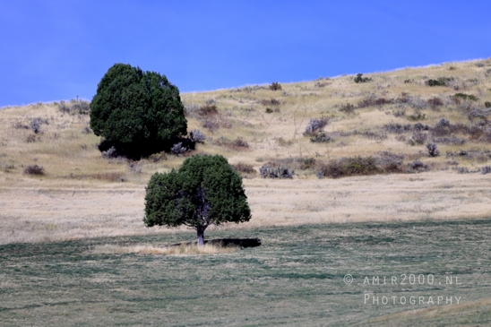Washington_Idaho_Montana_Wyoming_USA_Road_Trip_Landscape_Western_Nature_Photography_175_Canon_EOS_R5_Mark_II.JPG