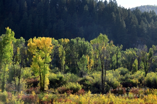 Washington_Idaho_Montana_Wyoming_USA_Road_Trip_Landscape_Western_Nature_Photography_195_Canon_EOS_R5_Mark_II.JPG