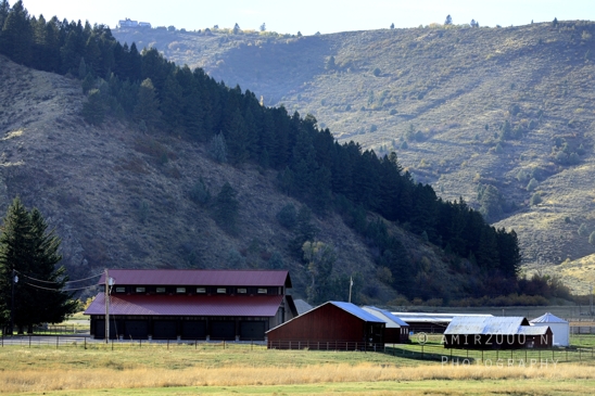 Washington_Idaho_Montana_Wyoming_USA_Road_Trip_Landscape_Western_Nature_Photography_196_Canon_EOS_R5_Mark_II.JPG