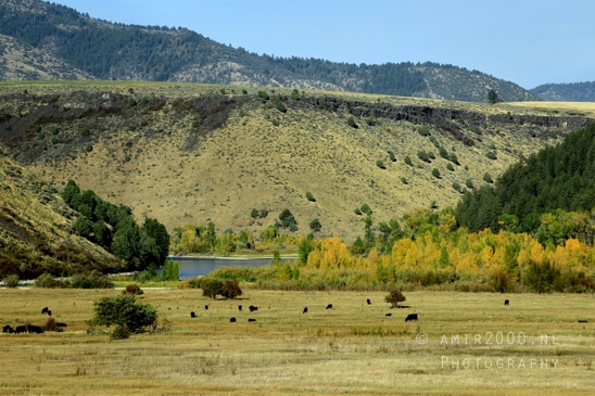 Washington_Idaho_Montana_Wyoming_USA_Road_Trip_Landscape_Western_Nature_Photography_198_Canon_EOS_R5_Mark_II.JPG
