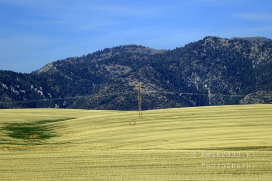 Washington_Idaho_Montana_Wyoming_USA_Road_Trip_Landscape_Western_Nature_Photography_201_Canon_EOS_R5_Mark_II.JPG