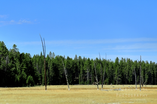 Grand_Prismatic_Spring_Yellowstone_National_Park_Wyoming_USA_landscape_nature_And_Teton_Photography_003_Canon_EOS_R5_Mark_II.JPG