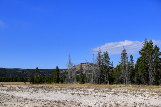 Grand_Prismatic_Spring_Yellowstone_National_Park_Wyoming_USA_landscape_nature_And_Teton_Photography_013_Canon_EOS_R5_Mark_II.JPG