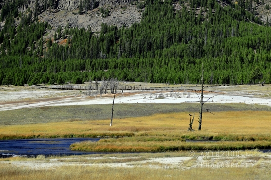Grand_Prismatic_Spring_Yellowstone_National_Park_Wyoming_USA_landscape_nature_And_Teton_Photography_122_Canon_EOS_R5_Mark_II.JPG