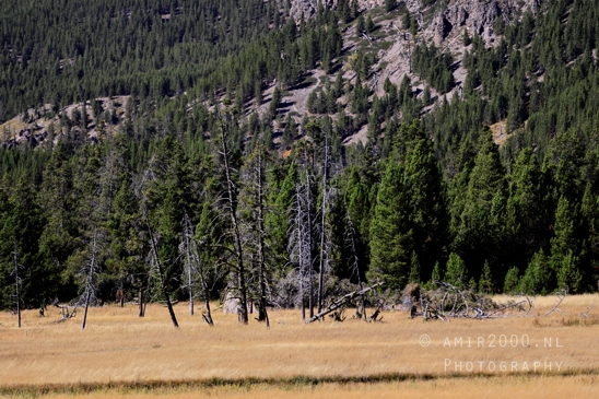 Grand_Prismatic_Spring_Yellowstone_National_Park_Wyoming_USA_landscape_nature_And_Teton_Photography_125_Canon_EOS_R5_Mark_II.JPG
