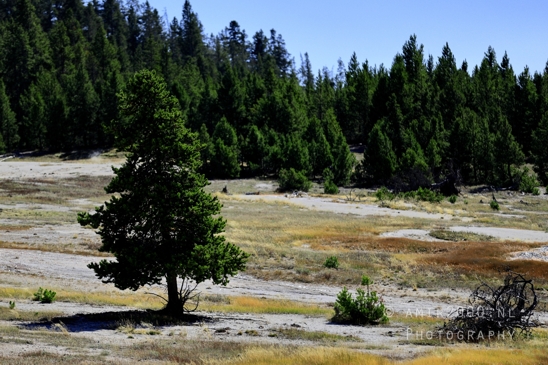 Grand_Prismatic_Spring_Yellowstone_National_Park_Wyoming_USA_landscape_nature_And_Teton_Photography_126_Canon_EOS_R5_Mark_II.JPG