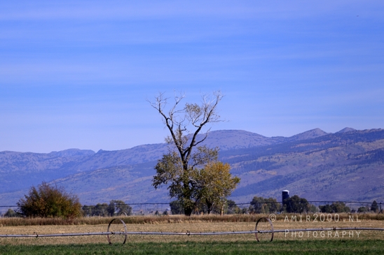 Grand_Teton_National_Park_Wyoming_USA_landscape_nature_Yellowstone_And_Photography_004_Canon_EOS_R5_Mark_II.JPG