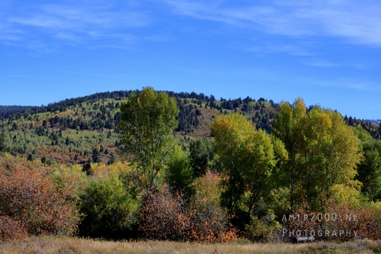 Grand_Teton_National_Park_Wyoming_USA_landscape_nature_Yellowstone_And_Photography_011_Canon_EOS_R5_Mark_II.JPG