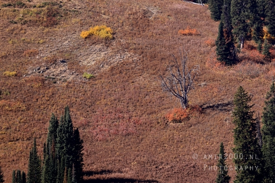 Grand_Teton_National_Park_Wyoming_USA_landscape_nature_Yellowstone_And_Photography_015_Canon_EOS_R5_Mark_II.JPG