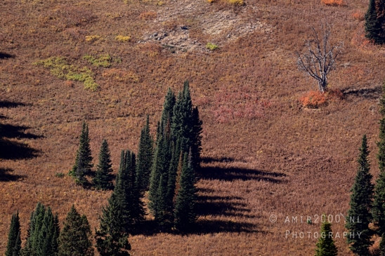 Grand_Teton_National_Park_Wyoming_USA_landscape_nature_Yellowstone_And_Photography_020_Canon_EOS_R5_Mark_II.JPG