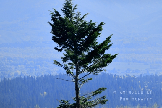 Grand_Teton_National_Park_Wyoming_USA_landscape_nature_Yellowstone_And_Photography_026_Canon_EOS_R5_Mark_II.JPG