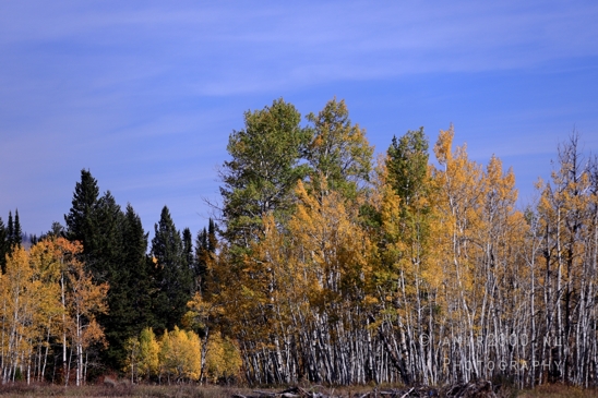 Grand_Teton_National_Park_Wyoming_USA_landscape_nature_Yellowstone_And_Photography_030_Canon_EOS_R5_Mark_II.JPG