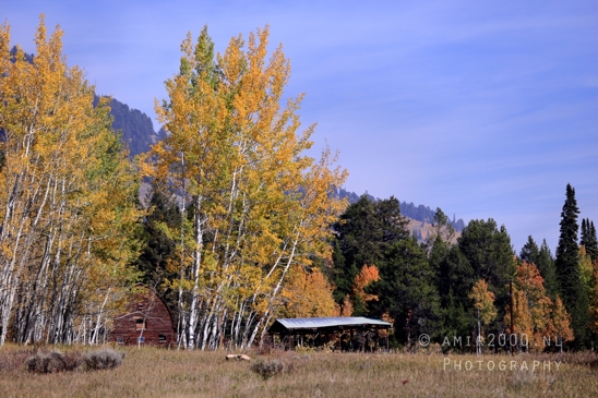 Grand_Teton_National_Park_Wyoming_USA_landscape_nature_Yellowstone_And_Photography_032_Canon_EOS_R5_Mark_II.JPG