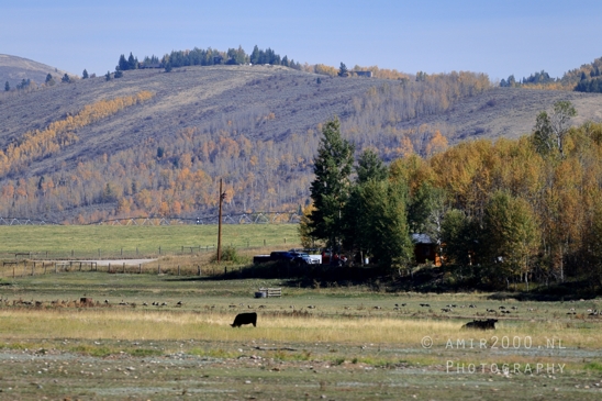 Grand_Teton_National_Park_Wyoming_USA_landscape_nature_Yellowstone_And_Photography_041_Canon_EOS_R5_Mark_II.JPG