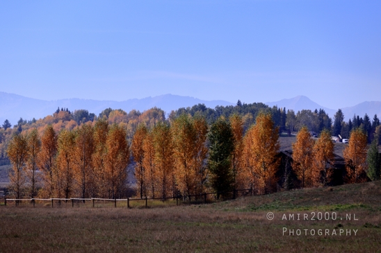 Grand_Teton_National_Park_Wyoming_USA_landscape_nature_Yellowstone_And_Photography_042_Canon_EOS_R5_Mark_II.JPG