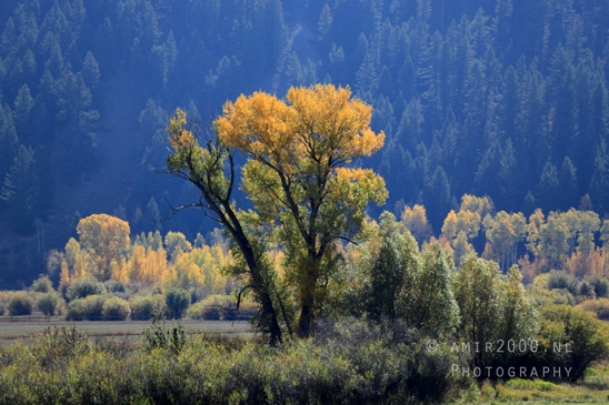 Grand_Teton_National_Park_Wyoming_USA_landscape_nature_Yellowstone_And_Photography_052_Canon_EOS_R5_Mark_II.JPG