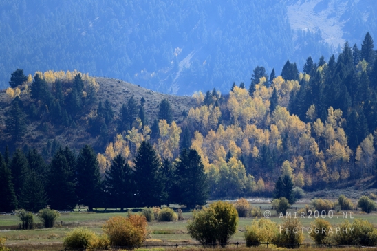 Grand_Teton_National_Park_Wyoming_USA_landscape_nature_Yellowstone_And_Photography_054_Canon_EOS_R5_Mark_II.JPG