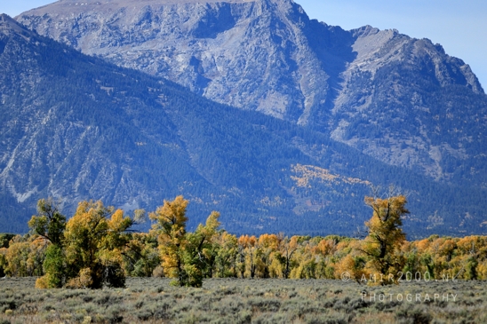 Grand_Teton_National_Park_Wyoming_USA_landscape_nature_Yellowstone_And_Photography_118_Canon_EOS_R5_Mark_II.JPG