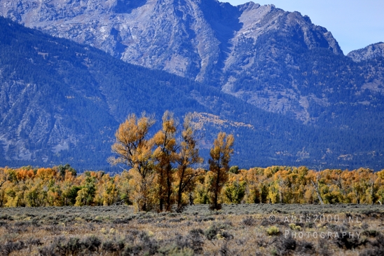Grand_Teton_National_Park_Wyoming_USA_landscape_nature_Yellowstone_And_Photography_119_Canon_EOS_R5_Mark_II.JPG
