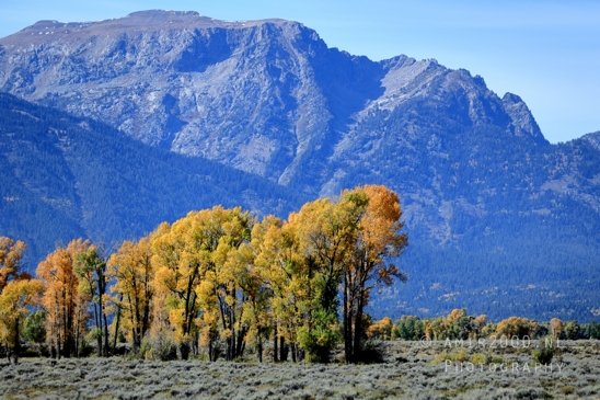 Grand_Teton_National_Park_Wyoming_USA_landscape_nature_Yellowstone_And_Photography_123_Canon_EOS_R5_Mark_II.JPG
