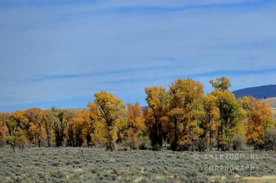 Grand_Teton_National_Park_Wyoming_USA_landscape_nature_Yellowstone_And_Photography_124_Canon_EOS_R5_Mark_II.JPG